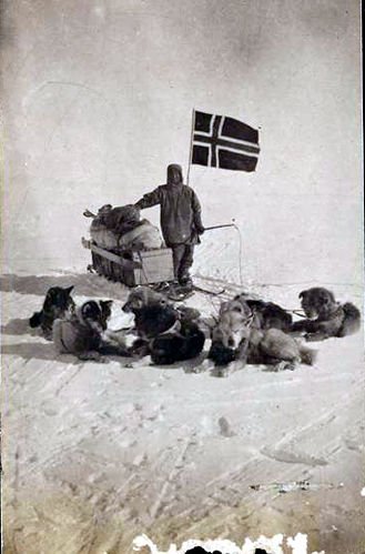 Amundsen and his dog team at the South
Pole
